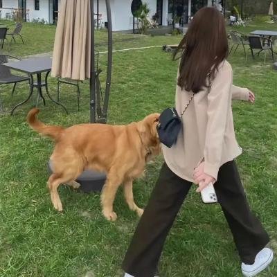 沙漠的囚徒