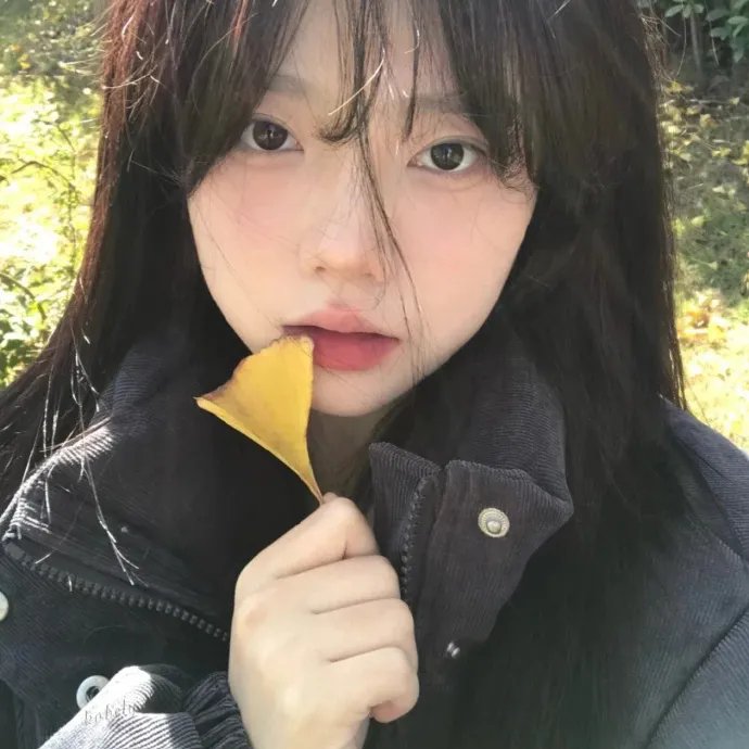 四个女人的故事