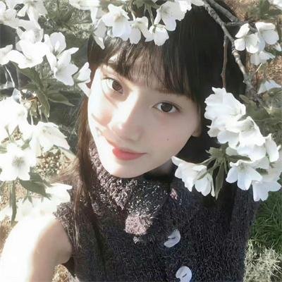 妖精琳琳的秘密
